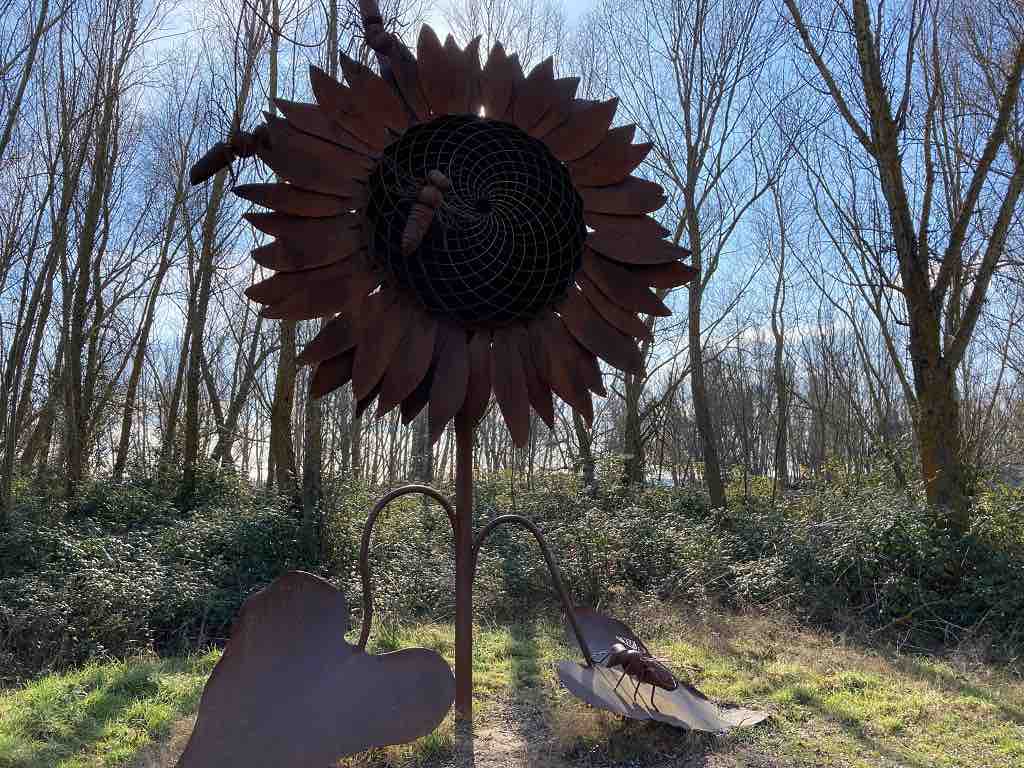 Girasol gigante en el Arte Emboscado en Almenara de Tormes, Salamanca