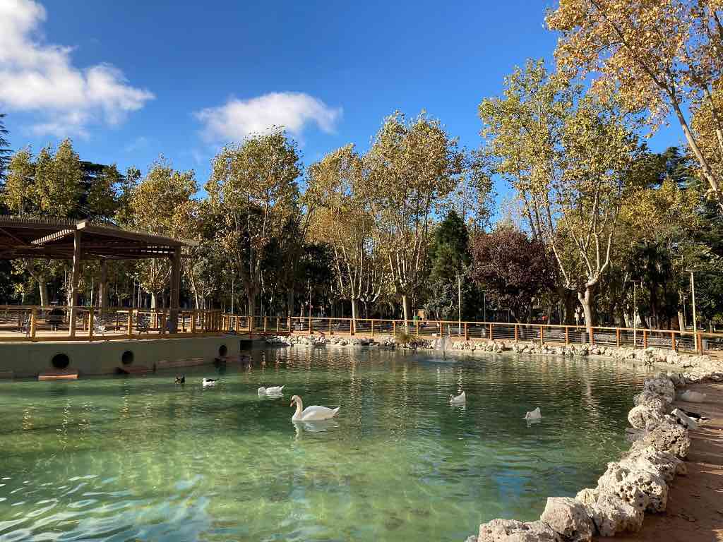 Estanque de patos en el Parque de La Alamedilla en Salamanca
