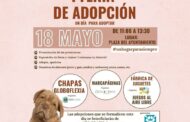 Llega el 18 de mayo la I Feria de Adopción de Carbajosa cargada de talleres y actividades