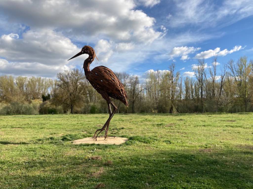 Garza en la Ruta de los Lápices en la Isla del Soto, Santa Marta de Tormes, Salamanca