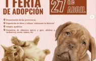 Carbajosa celebra el Día Mundial de los Animales sin Hogar y la I Feria de Adopción para concienciar de la responsabilidad de tener una mascota