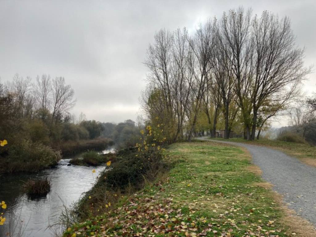 Camino a la orilla del río Tormes en la Isla del soto en Santa Marta de Tormes en Salamanca