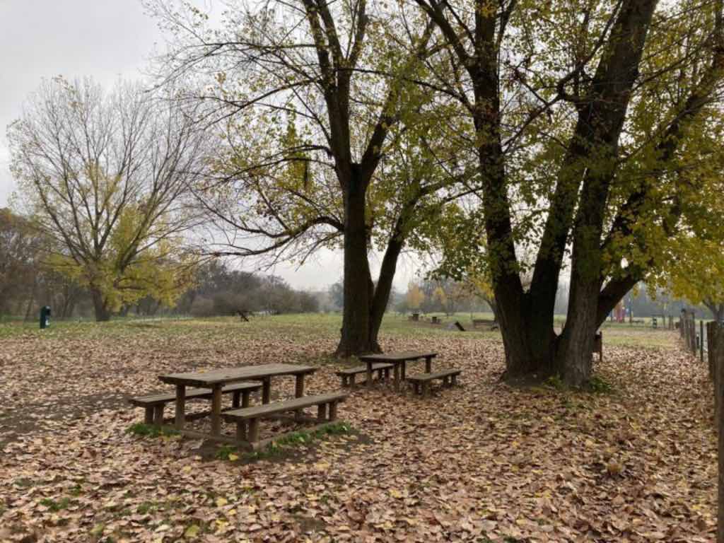 Merendero con mesas y bancos de madera en la Isla del Soto en la localidad salmantina de Santa Marta de Tormes