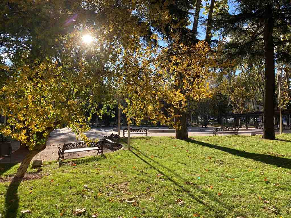 Jardines en el Parque de La Alamedilla