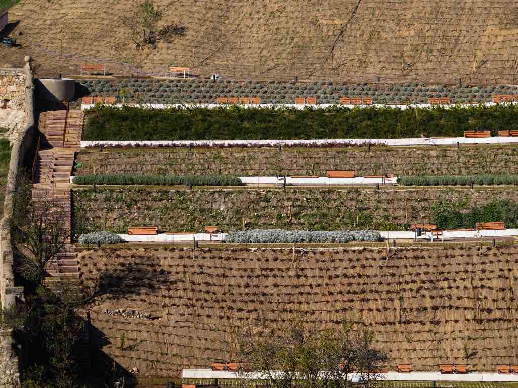 Ladera Cerro de San Vicente. Turismo de Salamanca