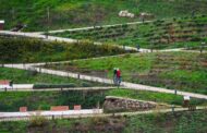 Descubre en familia las vistas privilegiadas desde la Ladera del Cerro de San Vicente