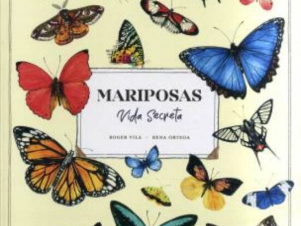 Mariposas. Vida secreta