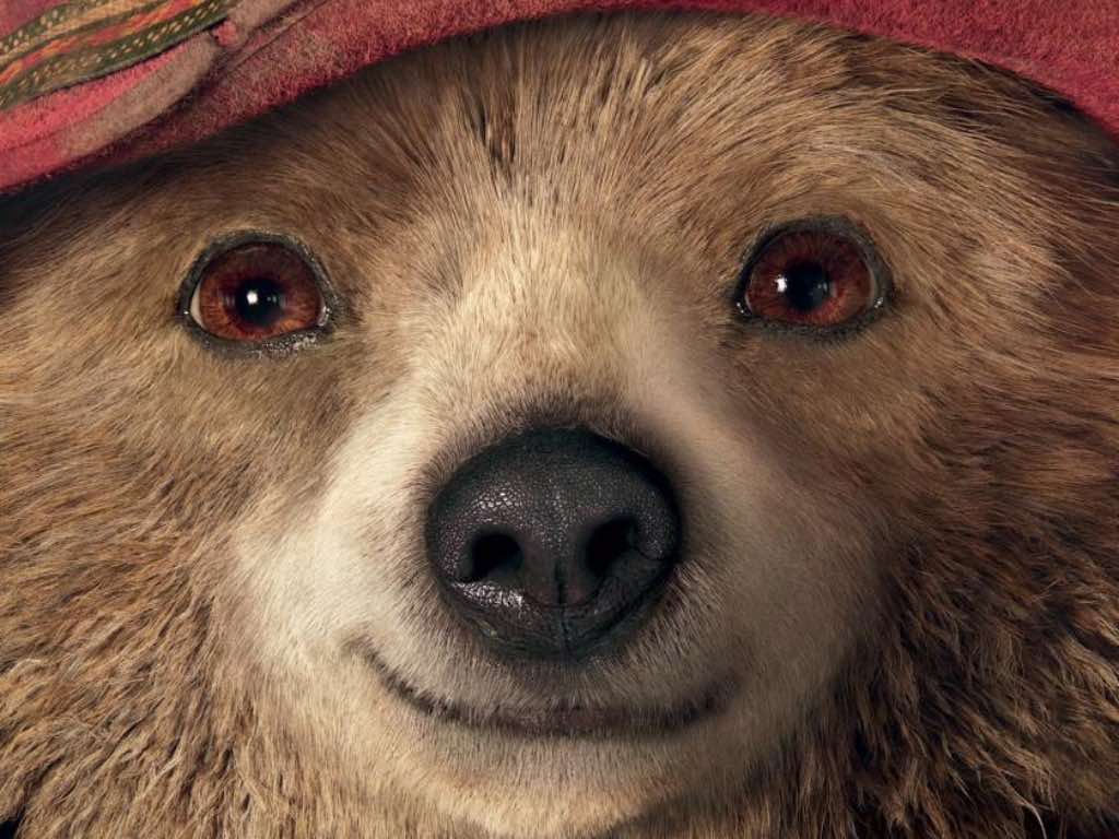 Paddington Cine Salamanca