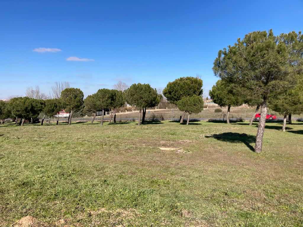 Parque Albahonda III Carbajosa de la Sagrada