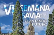 Cómo celebrar en familia la Semana Savia por el día Mundial del Medio Ambiente