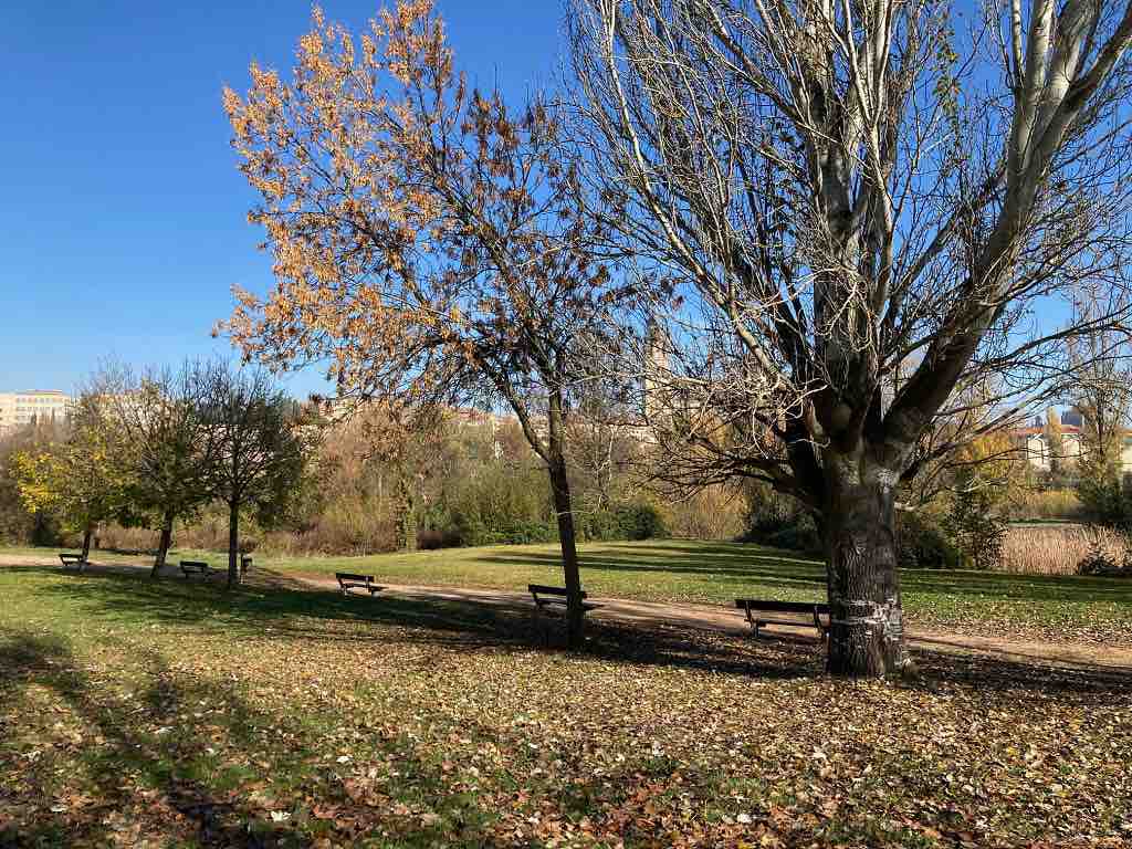 Zona de bancos en el Parque fluvial Río Tormes en Salamanca